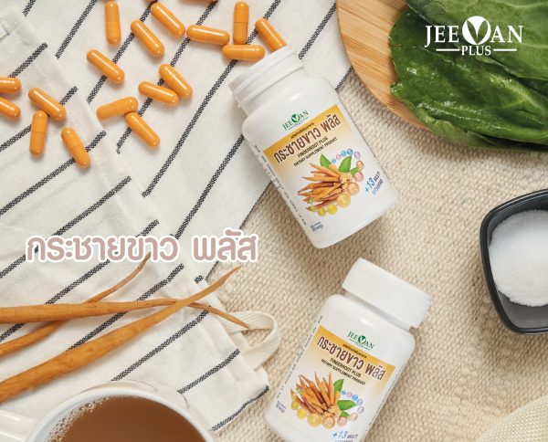 🌱 สารสกัดจาก “กระชายขาว” สูตรเข้มข้น 🌱 ตรา จีวาน พลัส